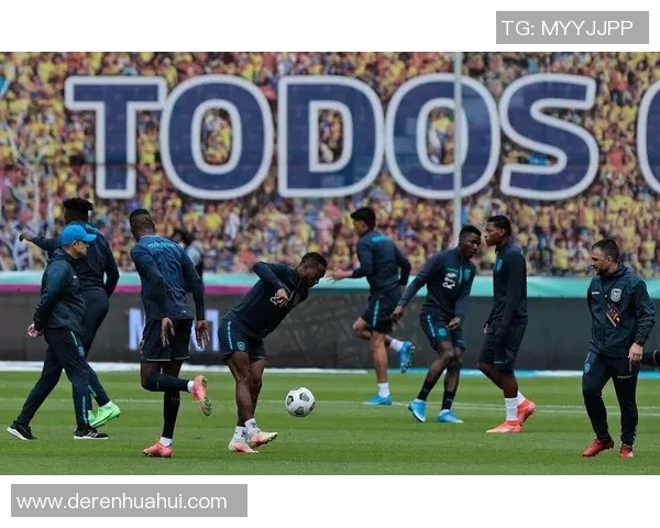 2019年阿根廷与厄瓜多尔激战回顾:精彩瞬间与赛后分析