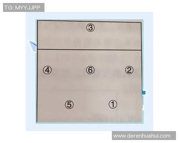 广州排球队反击战术解析与深度剖析排球竞技的魅力与挑战