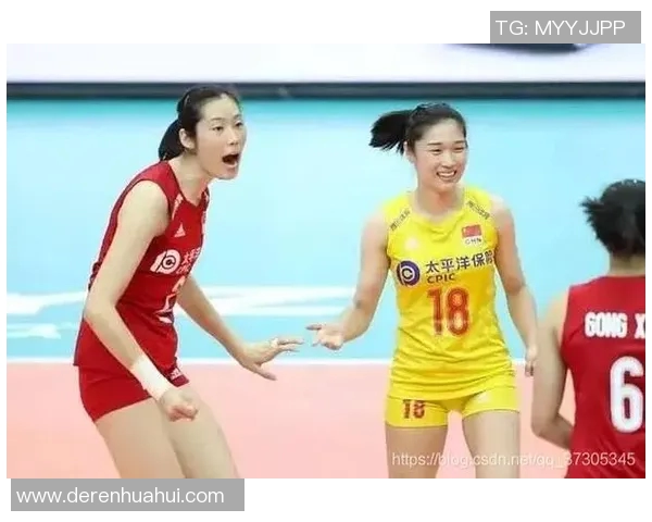 杭州排球队比赛经验分析与数据解读助力团队提升表现